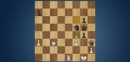 16_schach.jpg