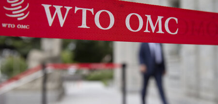 WTO_81650110.jpg