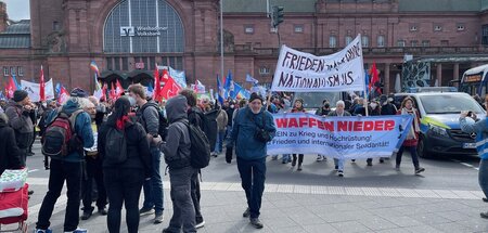 Mehr als 1.000 Menschen demonstrieren in Wiesbaden gegen die Plä...