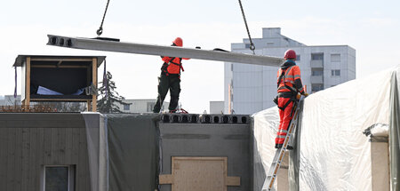 Sozialer_Wohnungsbau_85337663.jpg
