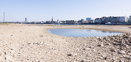 Auch der Rhein ist wieder betroffen: Sichtbare Dürre bei Düsseld...