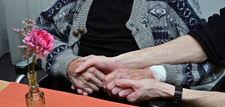 imago624753903.jpg