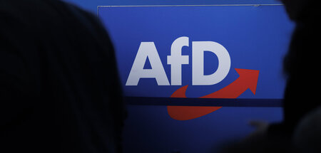 AfD_Logo_SYMBOLBILD_85756608.jpg