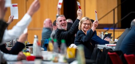Landesparteitag_des_85803269.jpg