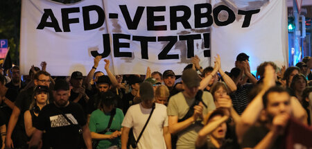 Das neue Ersatzprogramm des »progressiven« Liberalismus in Deuts...