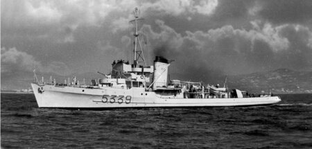 DAINO_1955.jpg
