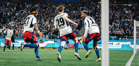 Ganz schön spritzig für Dinofossilien: HSV-Spieler Selke, Sahiti...