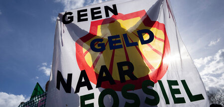 Klimaproteste_in_Den_84088611.jpg