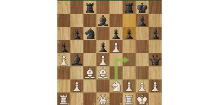 16_schach Kopie.jpg