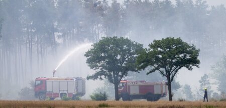 Waldbrand_Gohrischhe_86535376.jpg