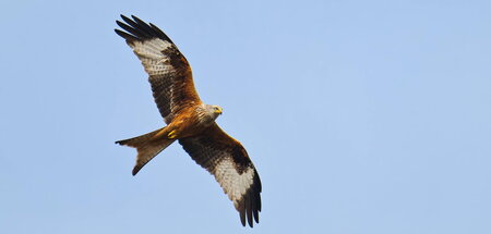 imago816013854.jpg