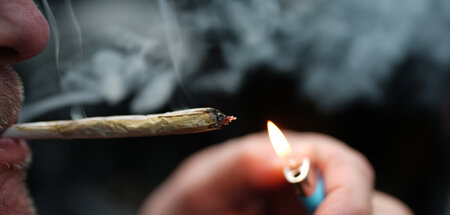 Cannabis_85568433.jpg
