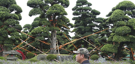 Vietnam_Storm_86695693.jpg