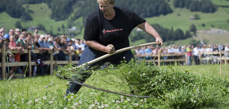 Handmaehen_EM_in_der_54447769(1).jpg