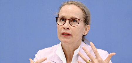 imago445657242.jpg
