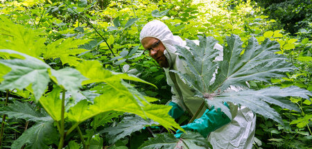 2_Die_Nordreportage_Wildes_Ruegen_Touristen_contra_Naturschutz.j