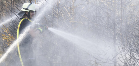 Waldbrand_im_Taunus_86903585.jpg