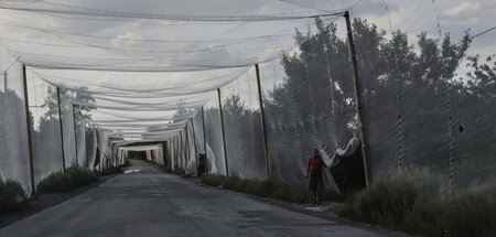 Russia_Ukraine_War_87020658.jpg