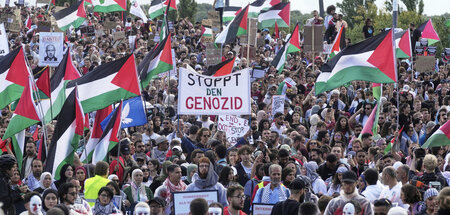 Germany_Pro_Palestin_87074194.jpg