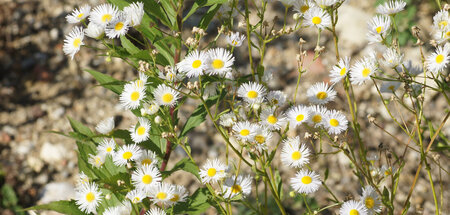 imago386262183.jpg
