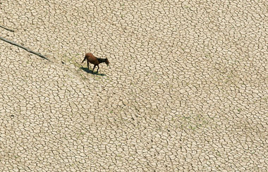 Der ausgetrocknete Curuai-See im brasilianischen Amazonas-Bundes...