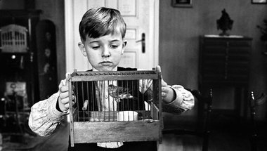 »In der Tat aber ist die Zucht nur eine Äußerung gesunder Lebens...