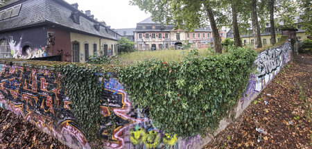 2intonlinexhaus.jpg