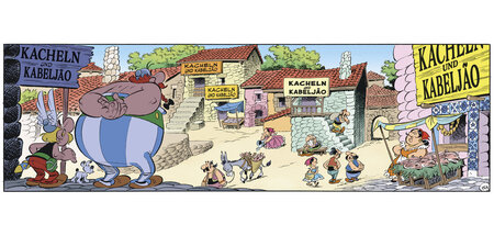 11 Kopie_asterix.jpg