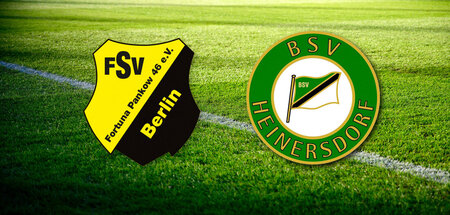 Zwei Wappen sind besser als ein Wappen