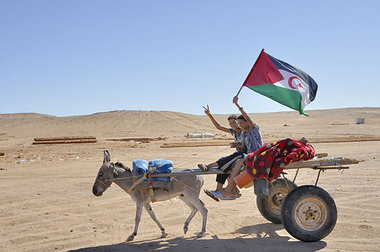 Transport unter saharauischer Flagge: Diese gleicht der palästin...