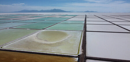 2025-10-21T171659Z_727473444_RC2QX4A9GNAV_RTRMADP_3_BOLIVIA-MINI