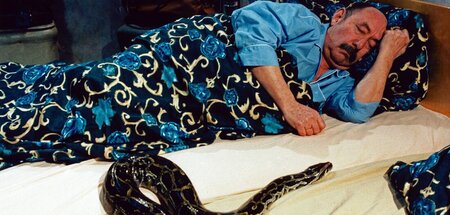 Schlafender König der Schlangen: Heinz Schubert