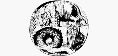 14_rotlicht Kopie.jpg