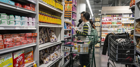 Regalmeter für Regalmeter mit Krank- und Dickmachern: Tiefkühlpi...