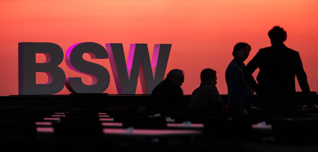 Nicht im Bundestag vertreten