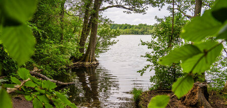 »Immer wieder hallte ›Orwo vor, noch ein Tor!‹ bis zum nahen Böt...