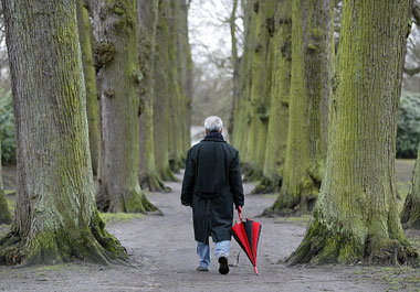 Alt wie ein Baum: 2050 wird es prozentual mehr Rentner geben. Ih...