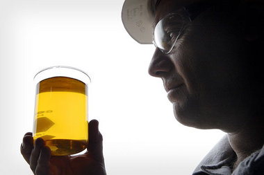 Treibstoff aus der Bohne: »Biodiesel« der Firma SoyMor Treibstoff aus der Bohne: »Biodiesel« der Firma SoyMor