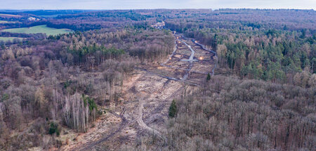 Hessische Art: Für den Ausbau der A 49 wurde eine große Schneise...