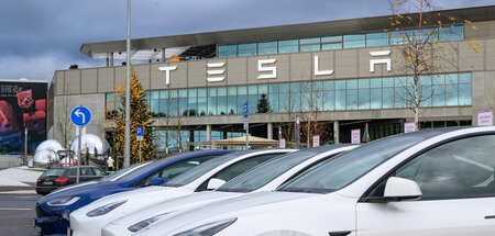 Tesla Gigafactory Berlin-Brandenburg(1).jpg