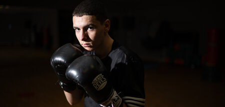 Boxer Arminius Rolle(3).jpg