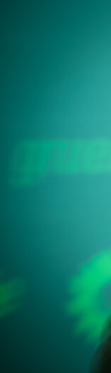 Grünen-Chefin Brantner.jpg