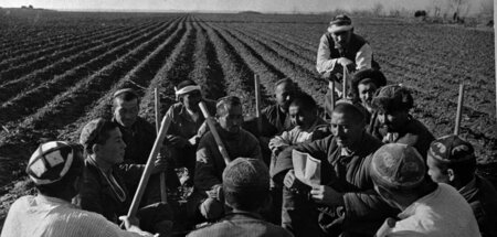 Das kollektive Arbeiten musste erst gelernt werden. Usbekische B... Das kollektive Arbeiten musste erst gelernt werden. Usbekische B...