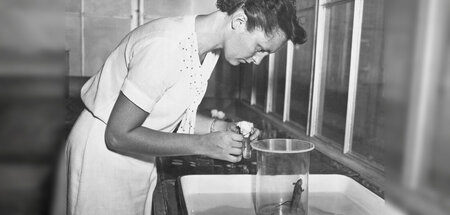 14_rotlicht Kopie.jpg