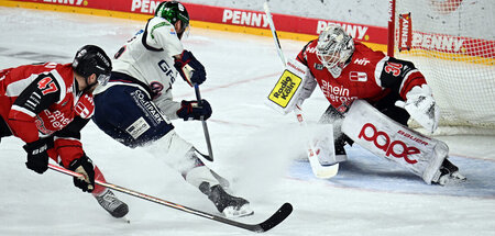 Kölner Haie - Eisbären Berlin.jpg