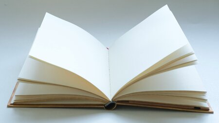 Könnte noch ein gutes Buch werden