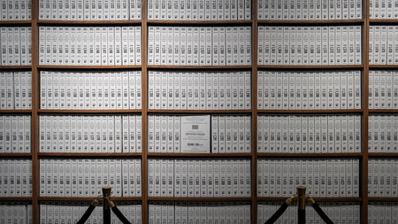 Wer suchet, der findet: Die Beteiligung der politischen Klasse i...