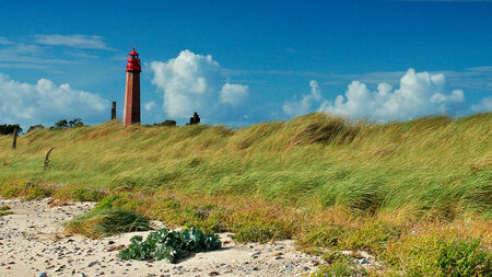 Schön da: Am Strand auf Fehmarn