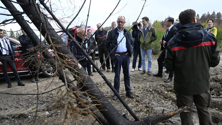 Friedrich Merz schaut sich einen Baum an (Hürtgenwald, 22.8.2026...