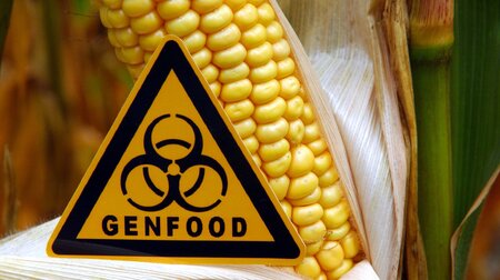 Ein Warnsignal: Gesundheit, Umwelt und gentechnikfreie Wirtschaf...